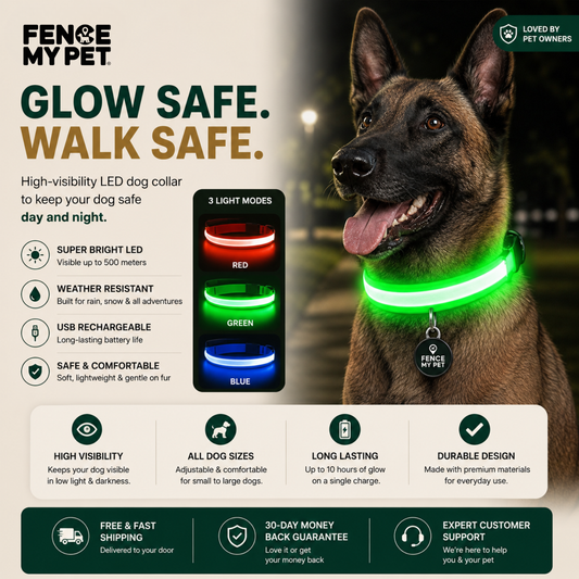 Glowing Dog Collar With Pendant