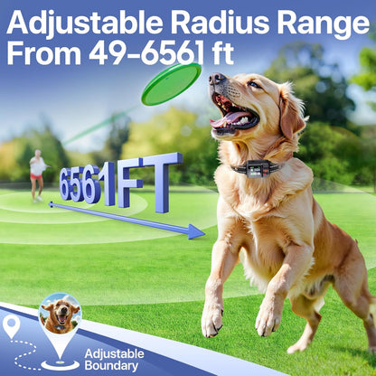 Dog Collar GPS Tracker