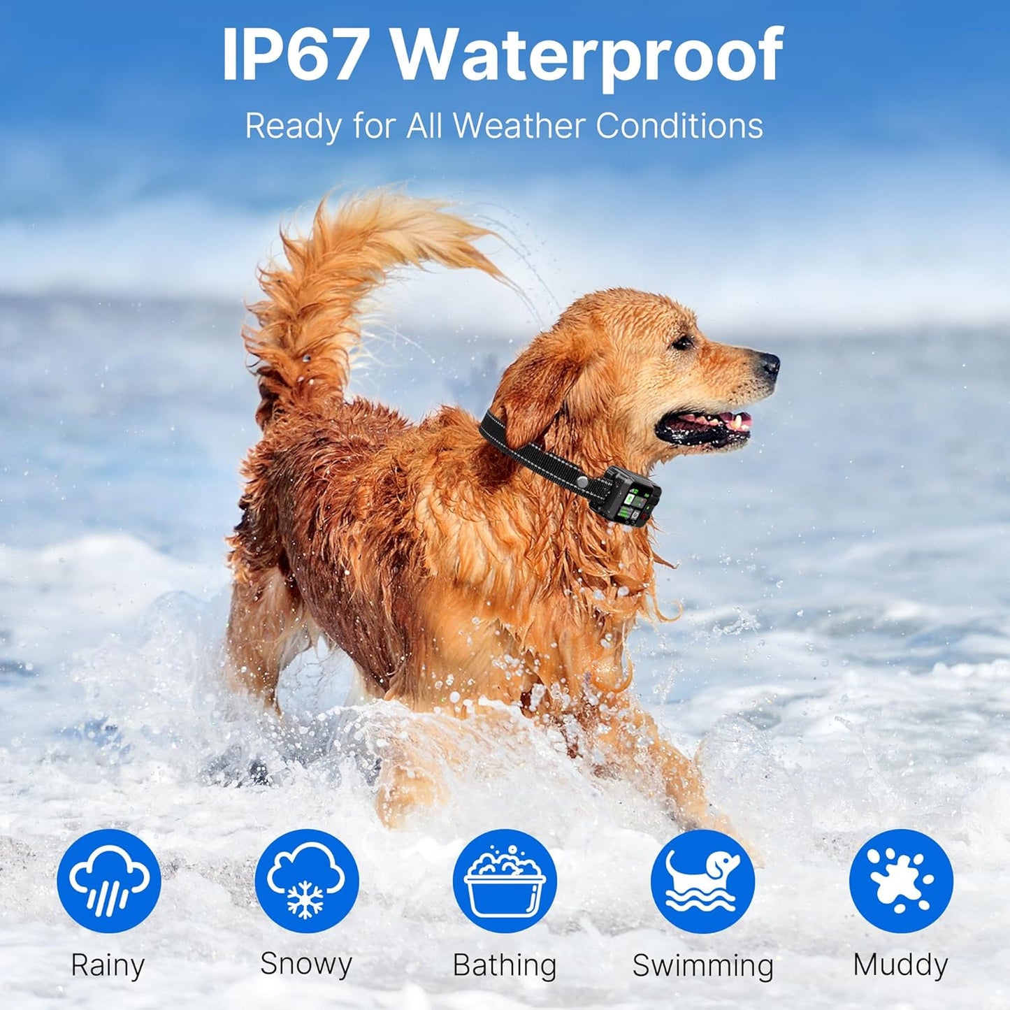 Dog Collar GPS Tracker
