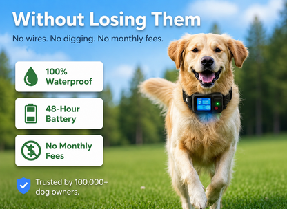 Dog Collar GPS Tracker