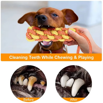 Dog Interactive Chewing Rope Ball