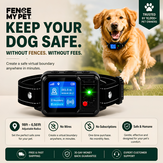Dog  GPS Boundary Collar